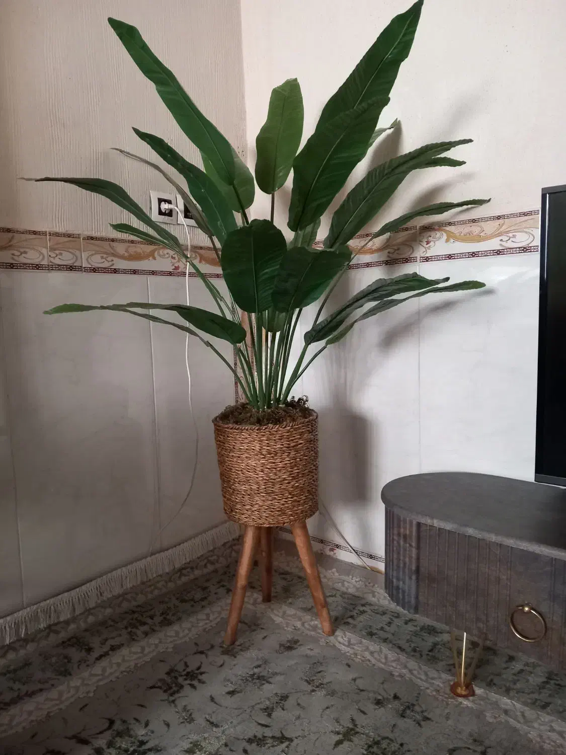 درختچه پرنده بهشتی ۱ونیم متر|گل مصنوعی|جوانرود, |دیوار