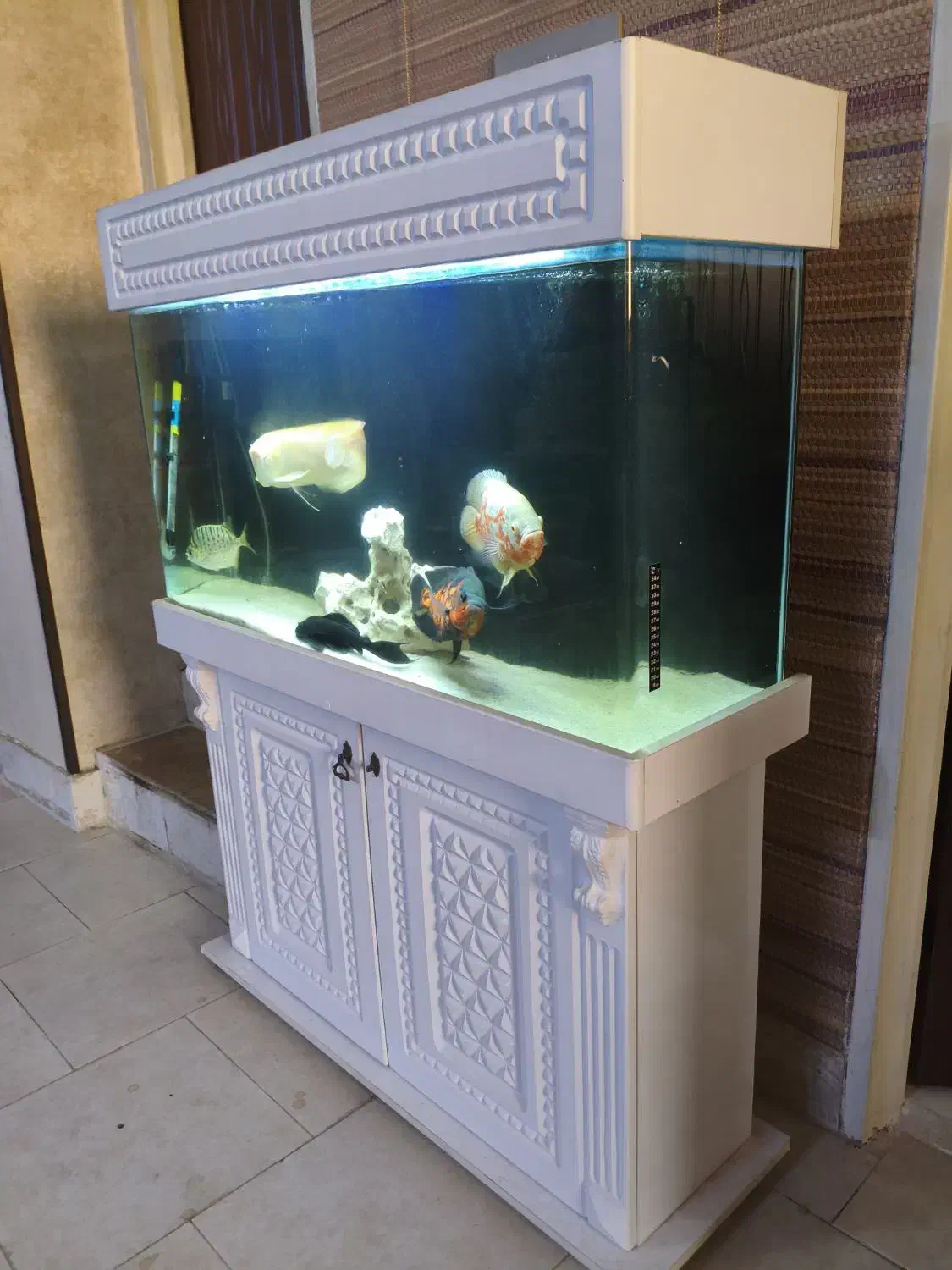 آکواریوم 1 متری با کمد و لوازم و ماهی در حد نو|ماهی|رباطکریم, رباطکریم|دیوار