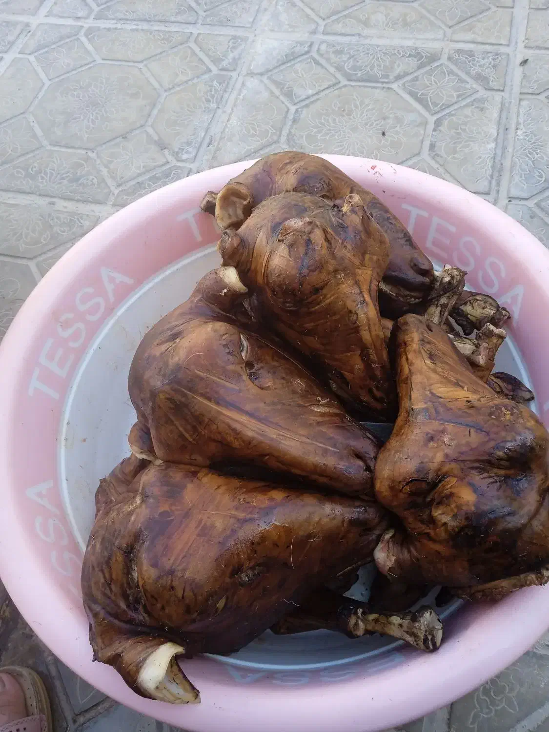 کله پاچه|خوردنی و آشامیدنی|نورآباد ممسنی, |دیوار