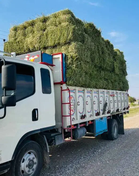 یونجه پرس خشک تازه خوزستان|لوازم جانبی حیوانات|اصفهان, سرچشمه|دیوار