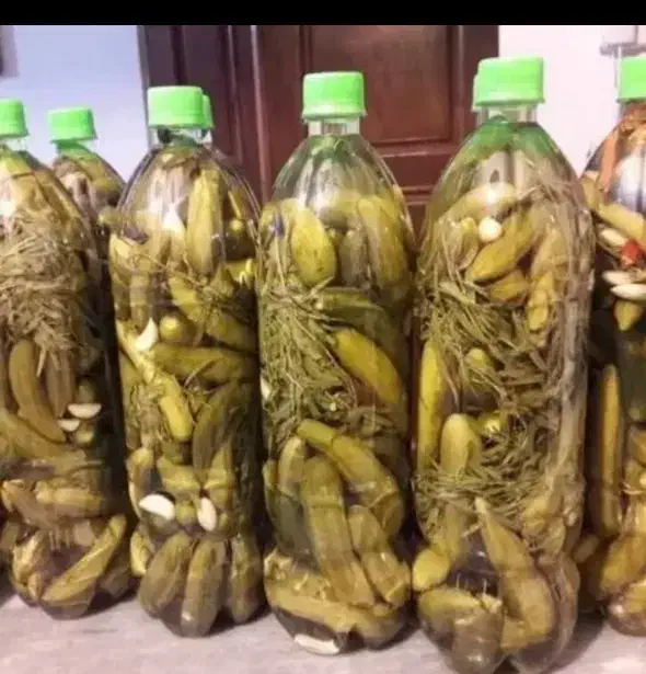 خیارشور بطری|خوردنی و آشامیدنی|سردرود, |دیوار