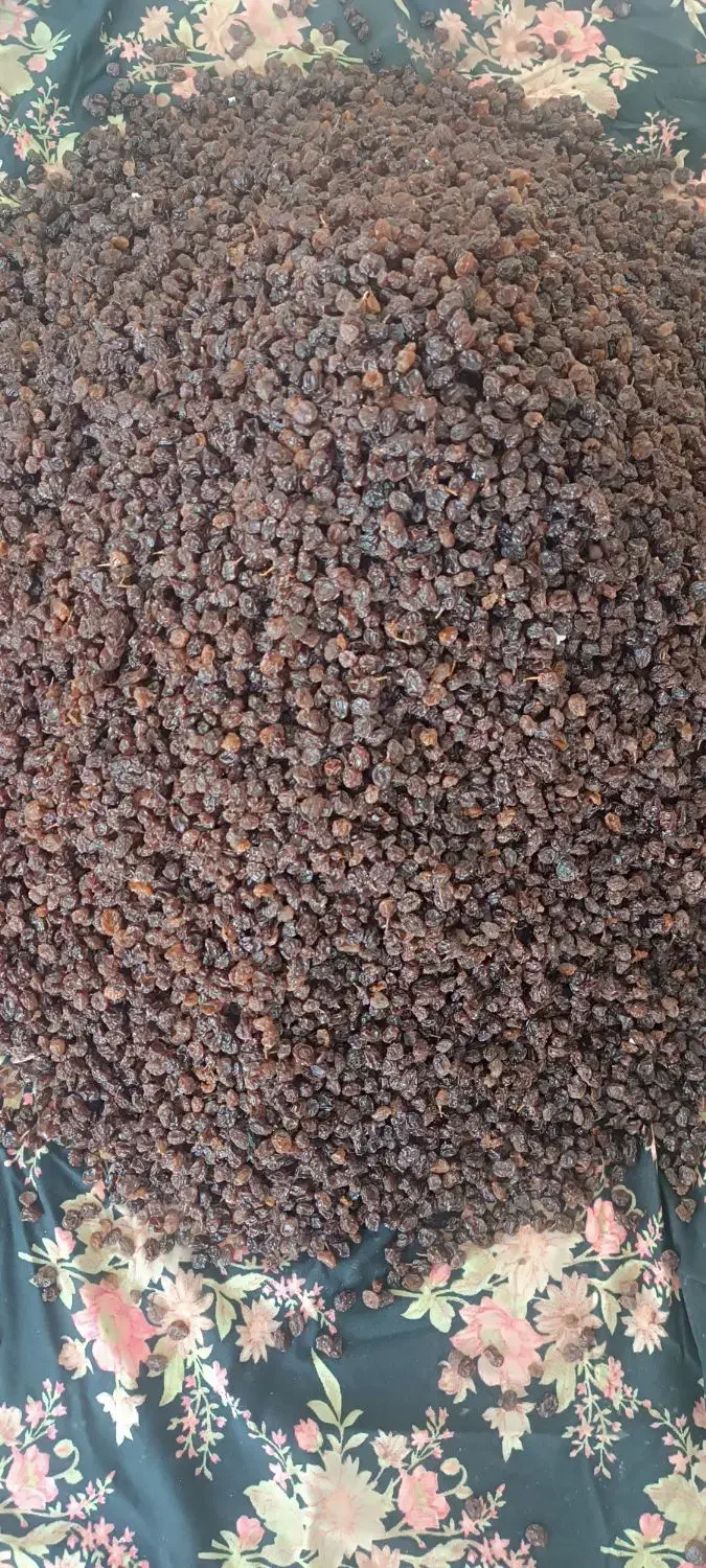 کشمش افتابی|خوردنی و آشامیدنی|ایوان, |دیوار