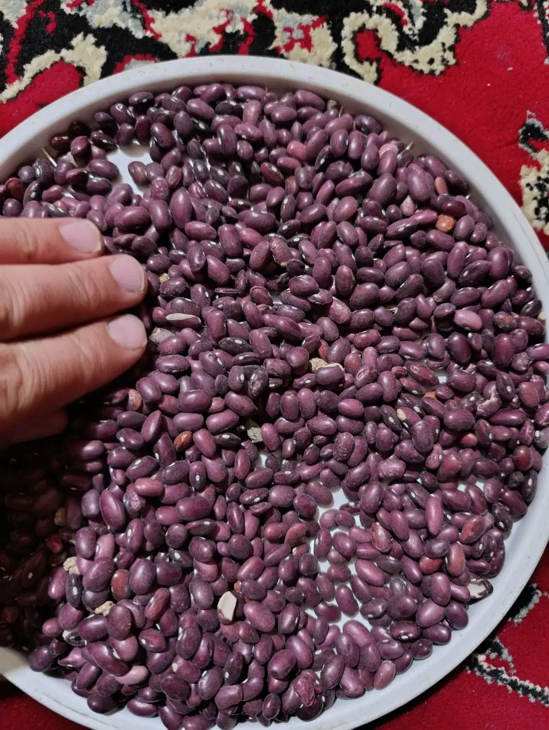 لوبیا قرمز|خوردنی و آشامیدنی|دهگلان, |دیوار