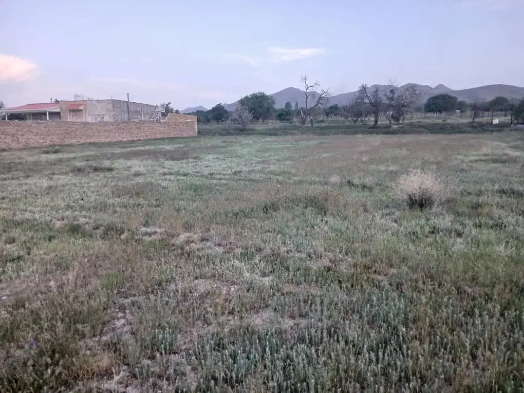 فروش زمین|فروش زمین و ملک کلنگی|آبگرم, |دیوار