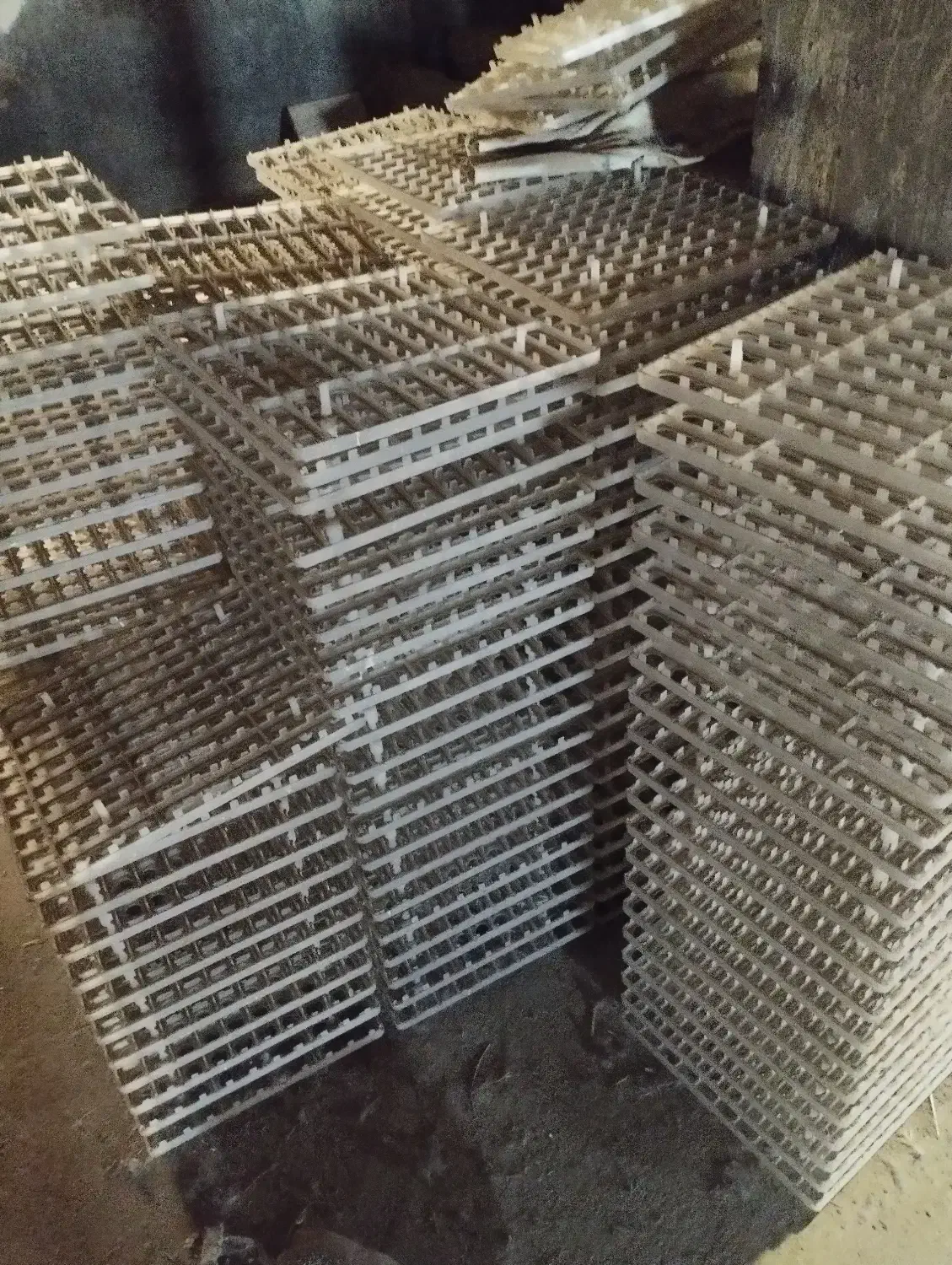 جوجه کشی|لوازم جانبی حیوانات|آباده, |دیوار