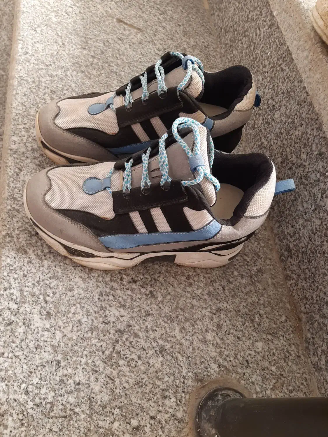 کفش|کیف، کفش، کمربند|بوشهر, |دیوار