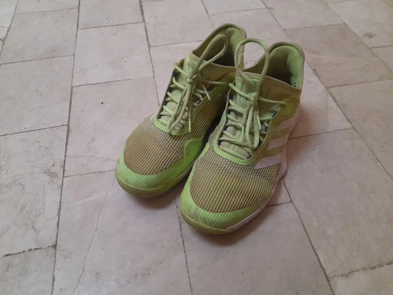 کفش اصل سایز 43|کیف، کفش، کمربند|نیشابور, شهرک اندیشه|دیوار