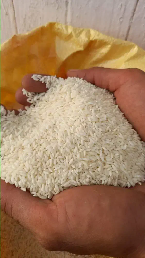 فروش عمده برنج سورنا ماسوری|عمدهفروشی|شادگان, |دیوار