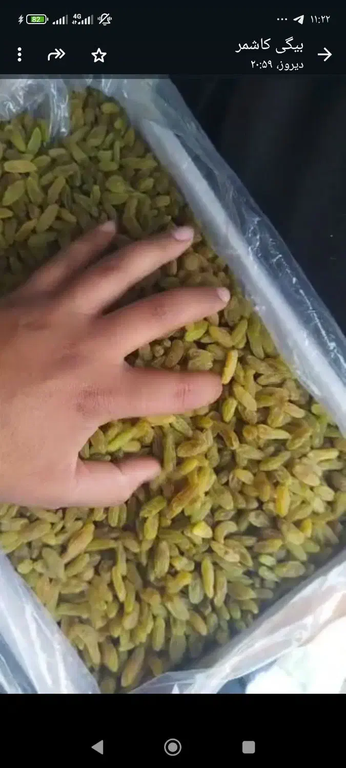 کشمش سبز|خوردنی و آشامیدنی|قزوین, |دیوار