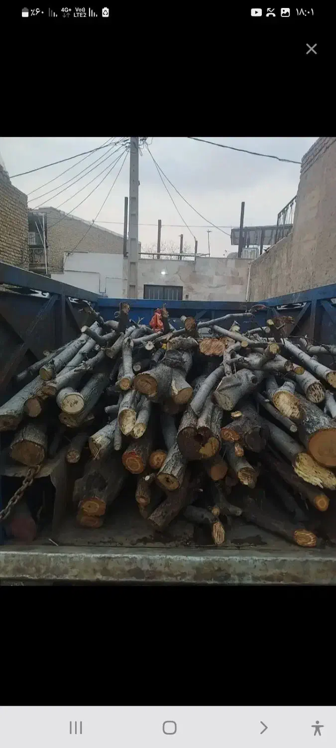 خرید چوب به قیمت خوب|خدمات باغبانی و درختکاری|صفادشت, |دیوار