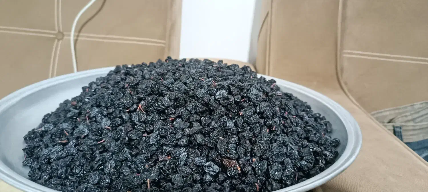 کشمش|خوردنی و آشامیدنی|کرمانشاه, |دیوار