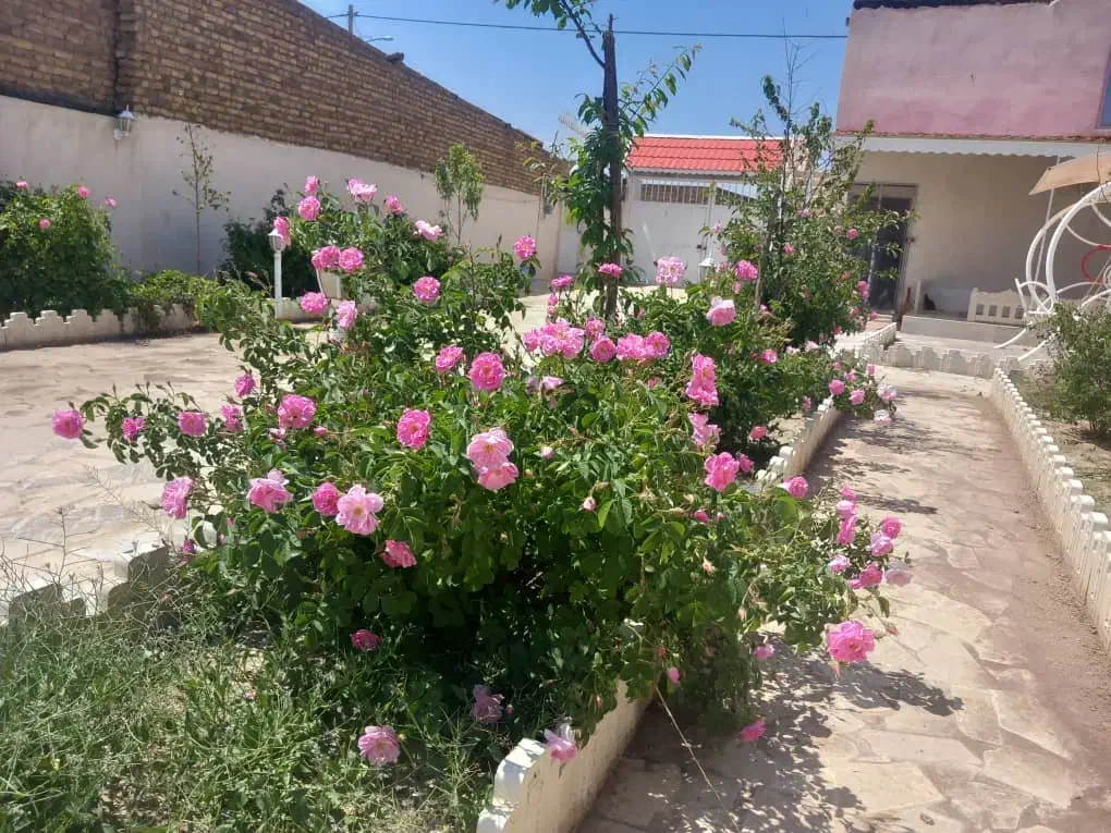 خانه ویلا|فروش خانه و ویلا|رضویه, |دیوار