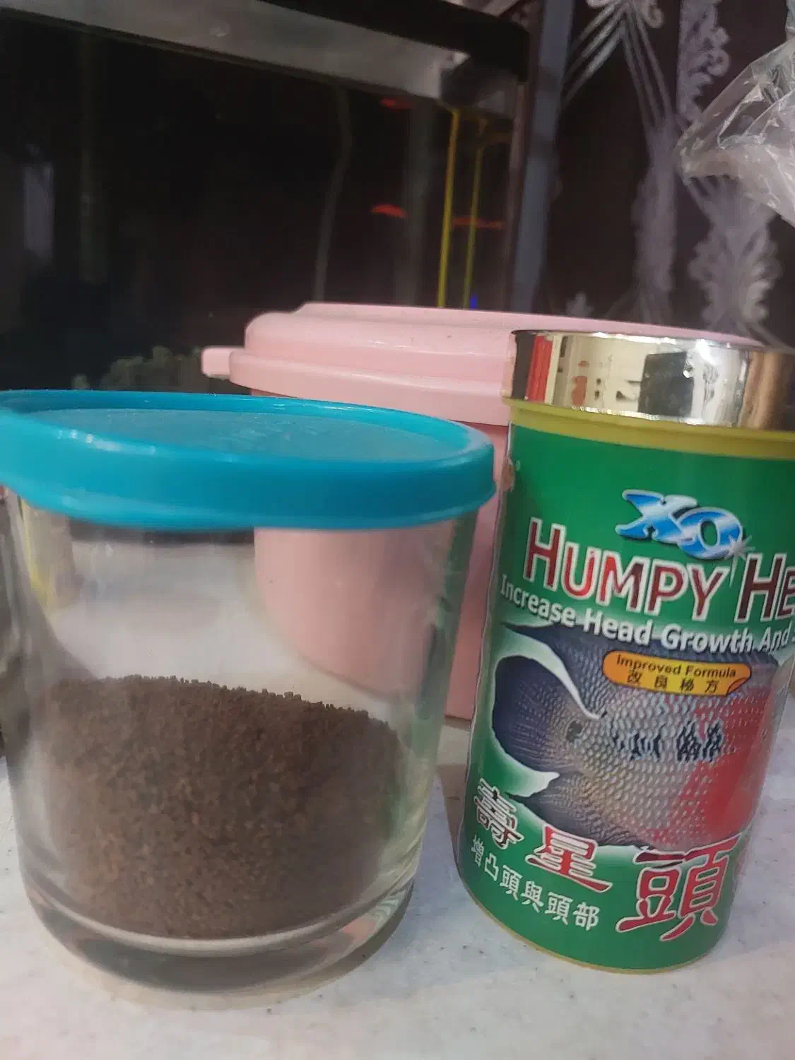 غذای  ماهی فلاور|ماهی|تهران, جوادیه|دیوار