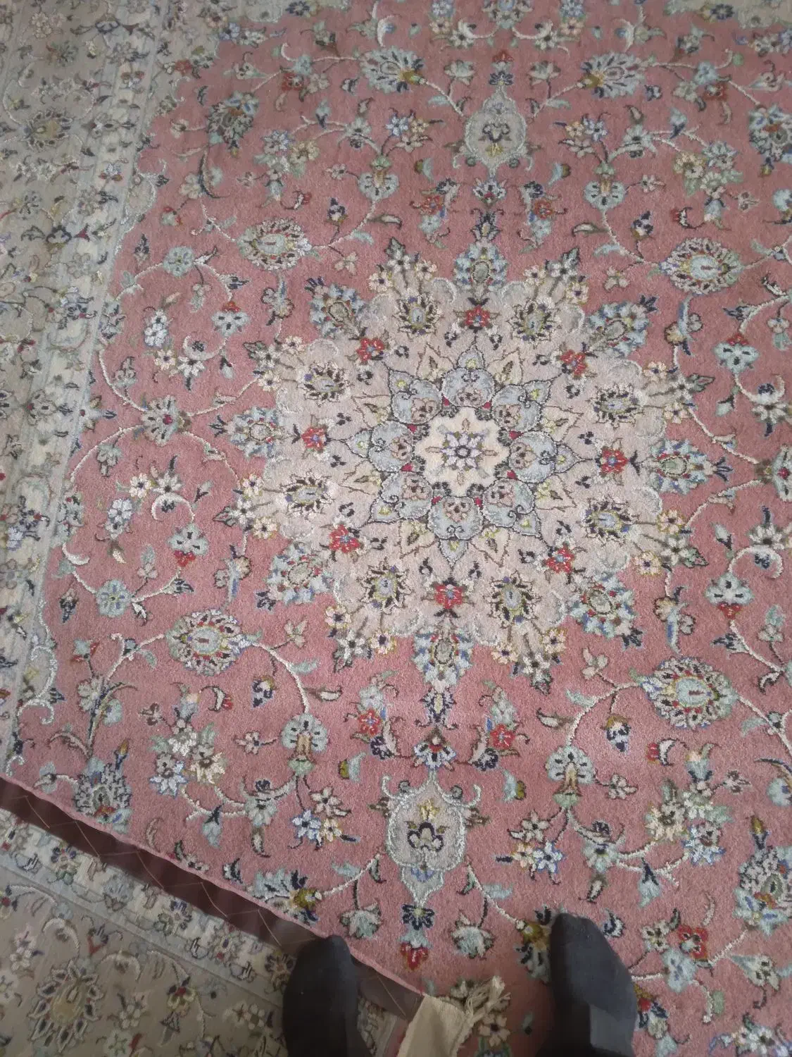 فرش کاشان پشم و ابریشم نو|فرش|کرمانشاه, |دیوار