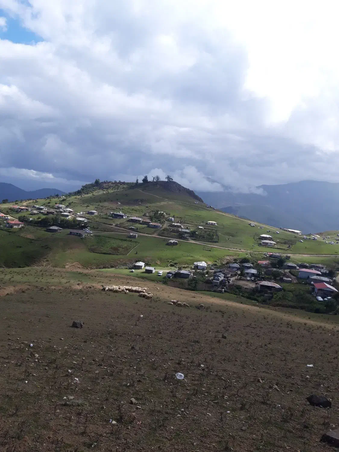 نظافتچی وپخت غذای منزل سالمند|استخدام سرایداری و نظافت|چهارباغ, |دیوار