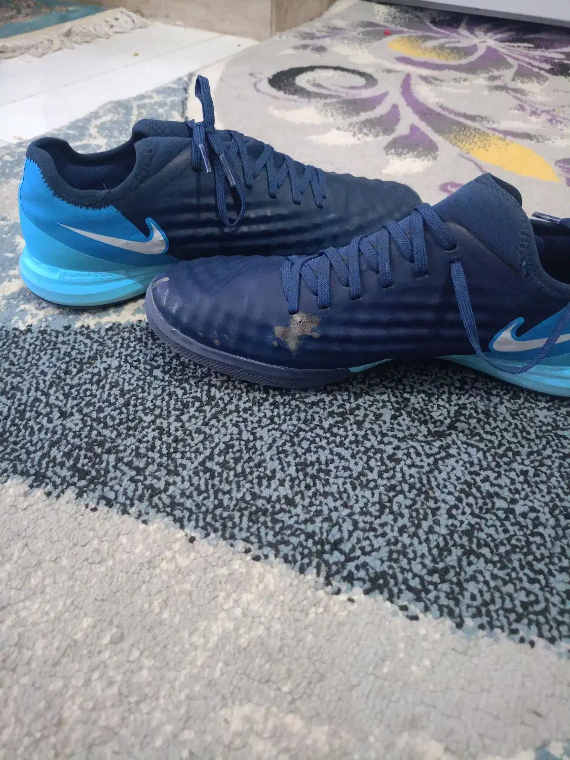 کفس سالنی|کیف، کفش، کمربند|مشهد, موعود|دیوار