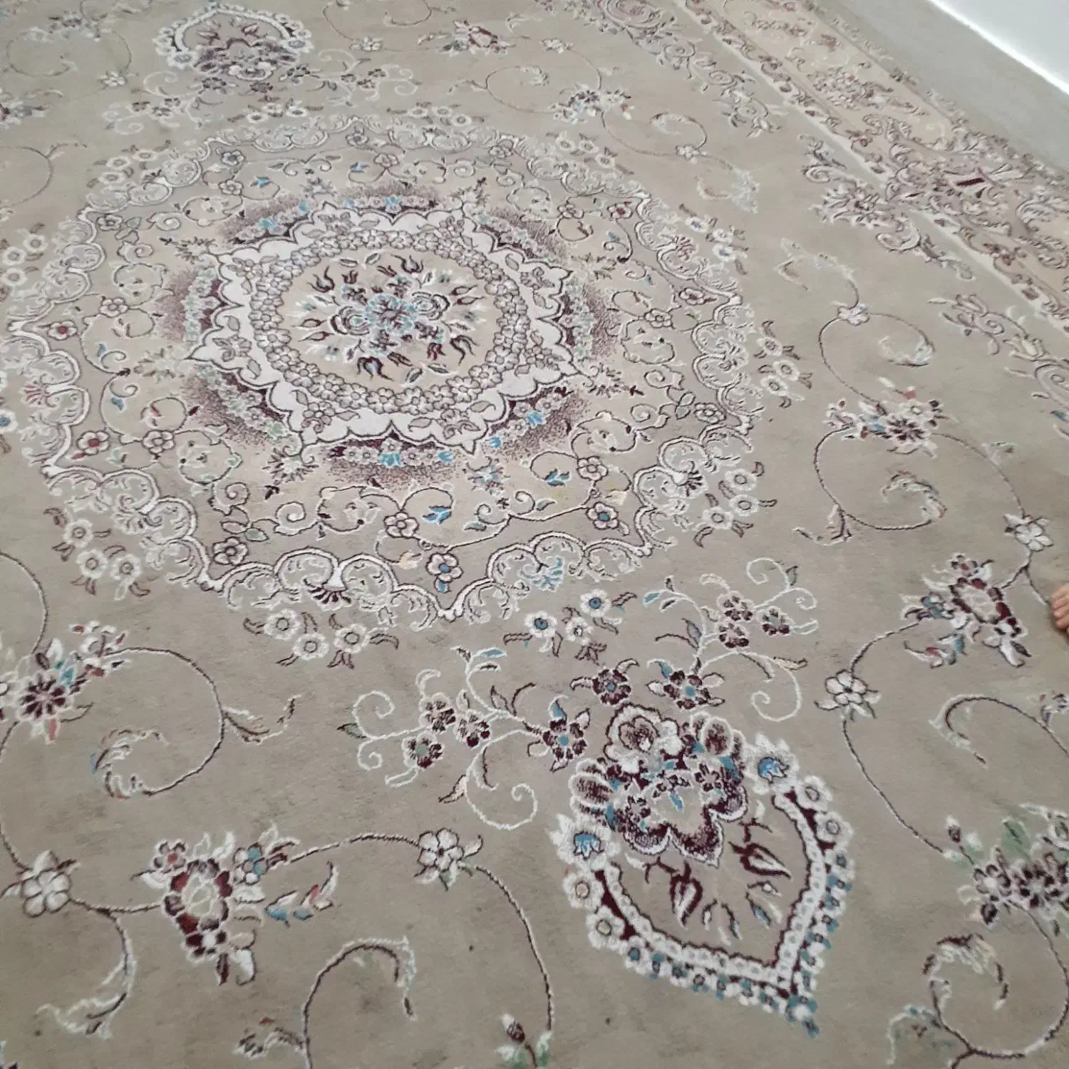 قالی|فرش|تایباد, |دیوار