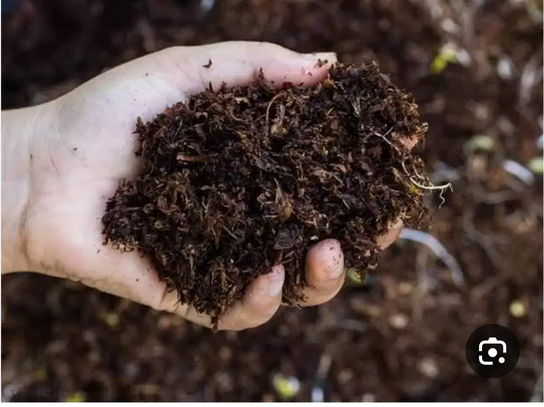 کود آلی|خدمات باغبانی و درختکاری|قم, باغ شازده|دیوار