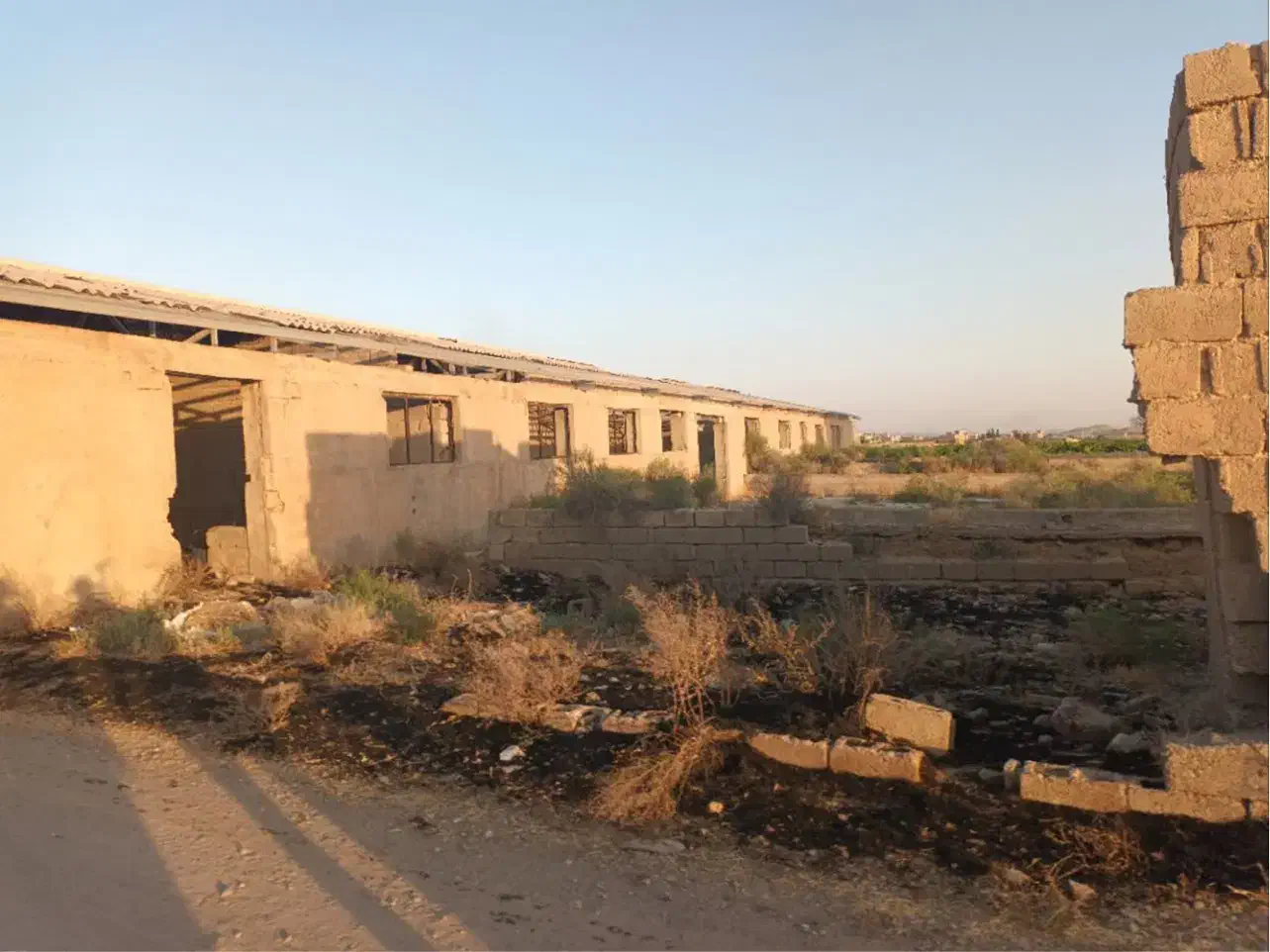 ۲۵۰۰ متر سند زمین گاوداری صنعتی|فروش دفتر صنعتی، کشاورزی، تجاری|میاندوآب, |دیوار