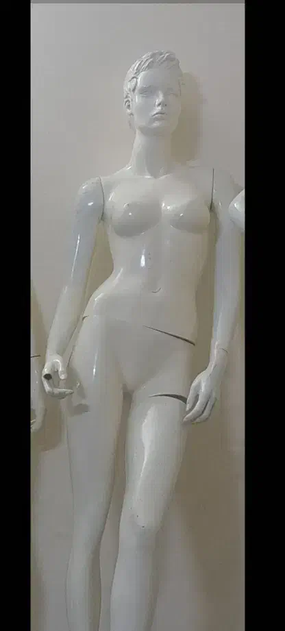 مانکن|فروشگاه و مغازه|مشهد, رسالت|دیوار