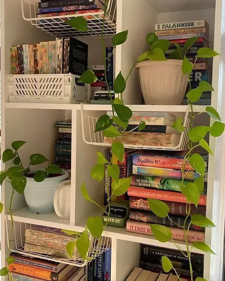 هرجا هستید یادگیری زبان انگلیسی را شروع کنید|خدمات آموزشی|اصفهان, کوی شهید کشوری|دیوار