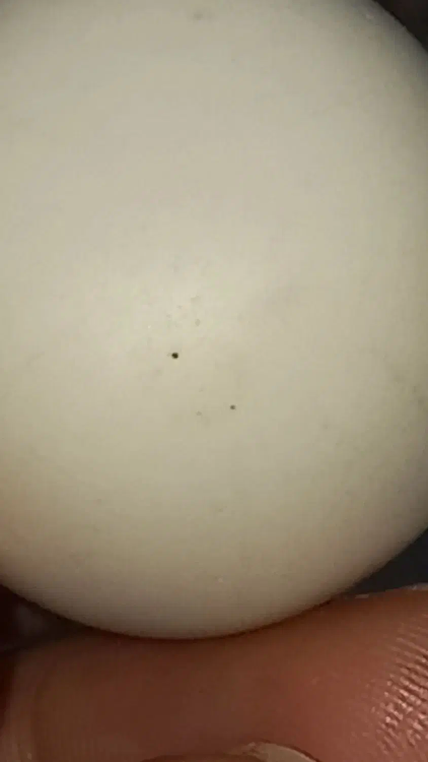 الماس آسیاب واقعی واقعی اصل|جواهرات|یاسوج, |دیوار