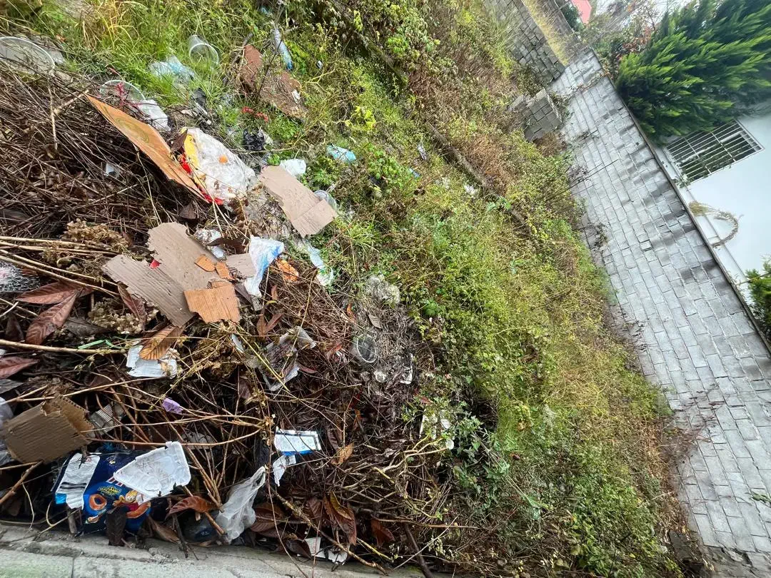 زمین ۳۰۰ متری فروشی عباس آباد|فروش زمین و ملک کلنگی|عباسآباد, |دیوار