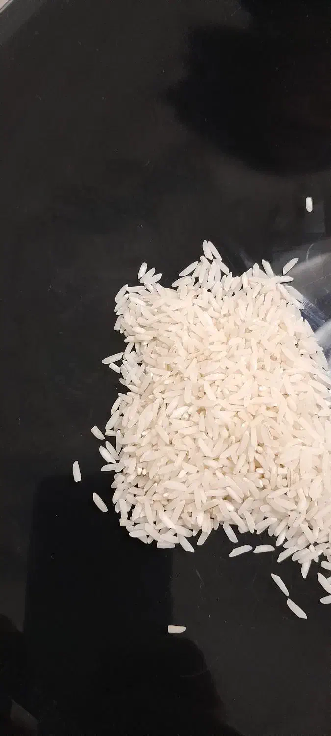 برنج اورگانیک هاشمی|خوردنی و آشامیدنی|رشت, حمیدیان|دیوار