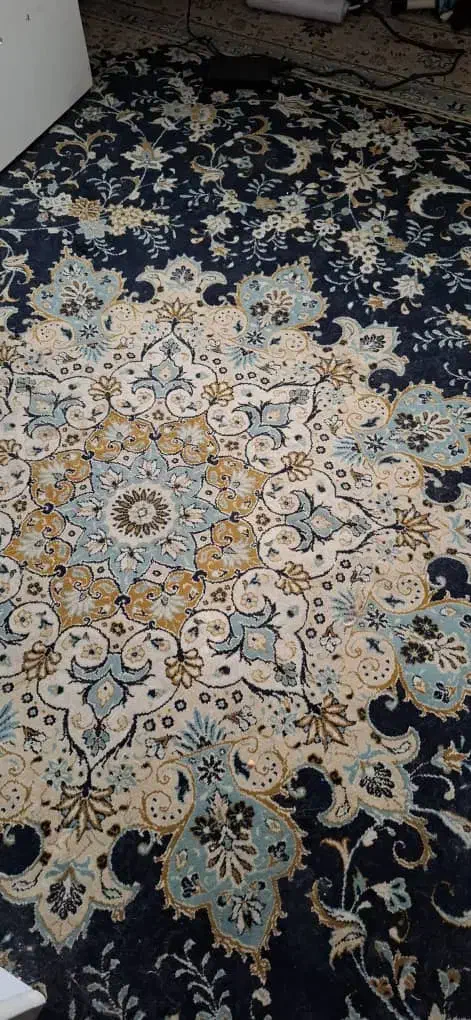 فرش ۱۲ متری|فرش|رشت, لاکان شهر|دیوار