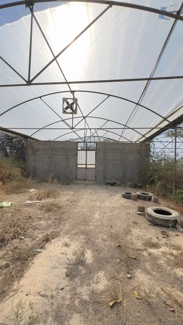 گلخانه 2000متری در خسروشاه|فروش دفتر صنعتی، کشاورزی، تجاری|خسروشاه, |دیوار