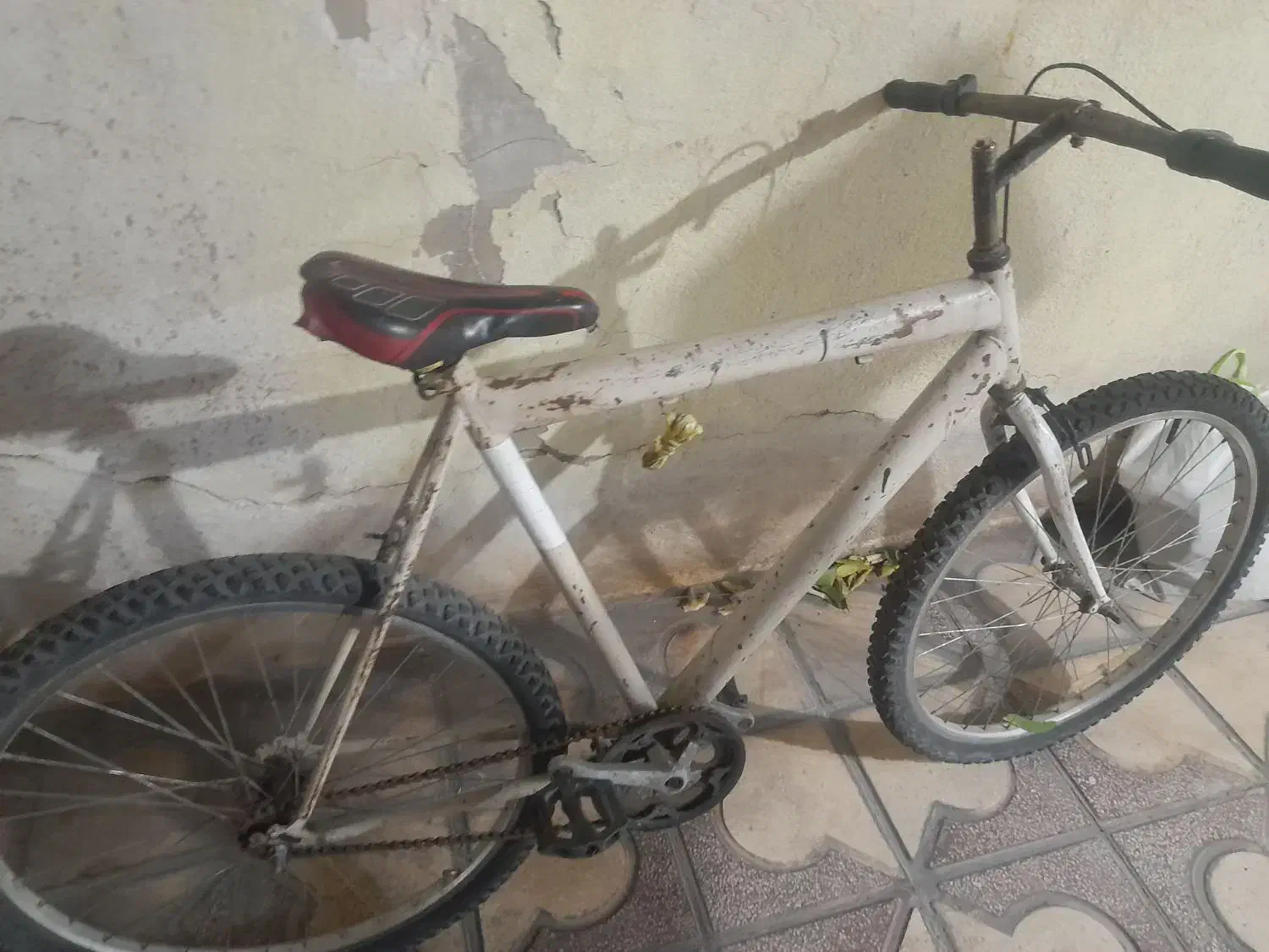 دوچرخه ۲۶|دوچرخه، اسکیت، اسکوتر|شیراز, لب آب|دیوار