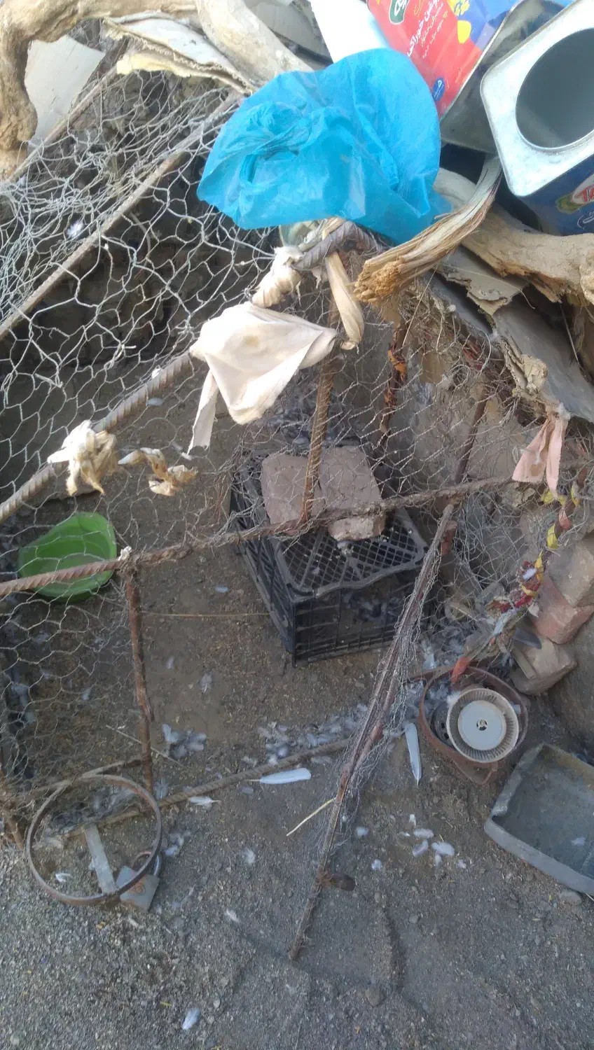 قفس مرغ وکبوتر|لوازم جانبی حیوانات|میرجاوه, |دیوار