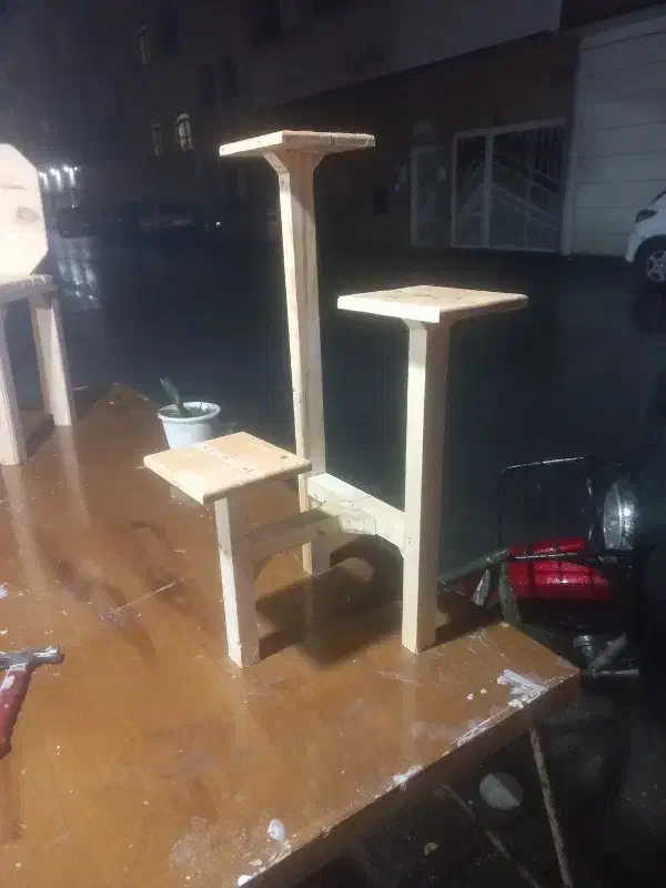 استندگل|گل و گیاه طبیعی|شیراز, تندگویان|دیوار