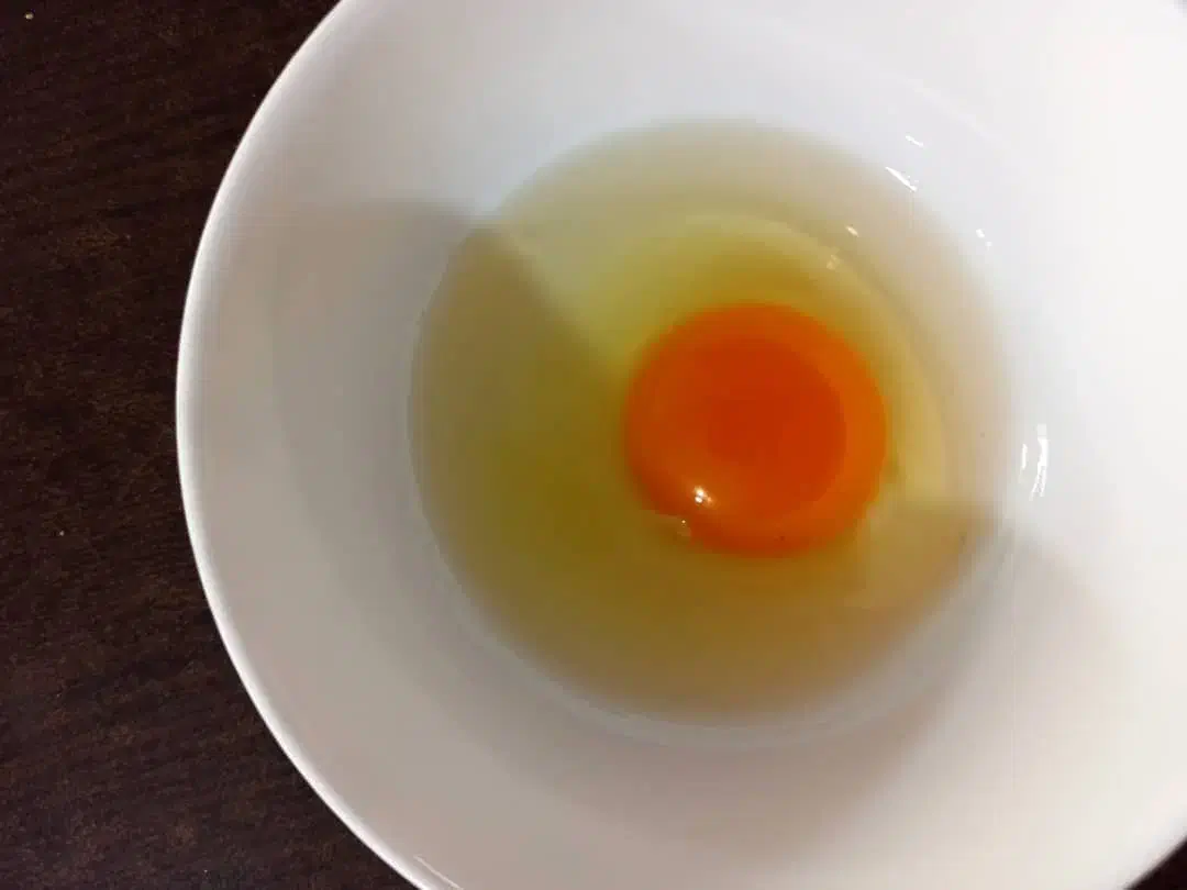 رسمی|خوردنی و آشامیدنی|مشهد, حرم مطهر رضوی|دیوار