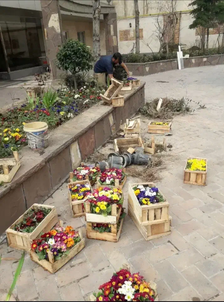 کلیه خدمات باغبانی سمپاشی تعویض گلدان سمپاشی سوسک|خدمات باغبانی و درختکاری|تهران, الهیه|دیوار