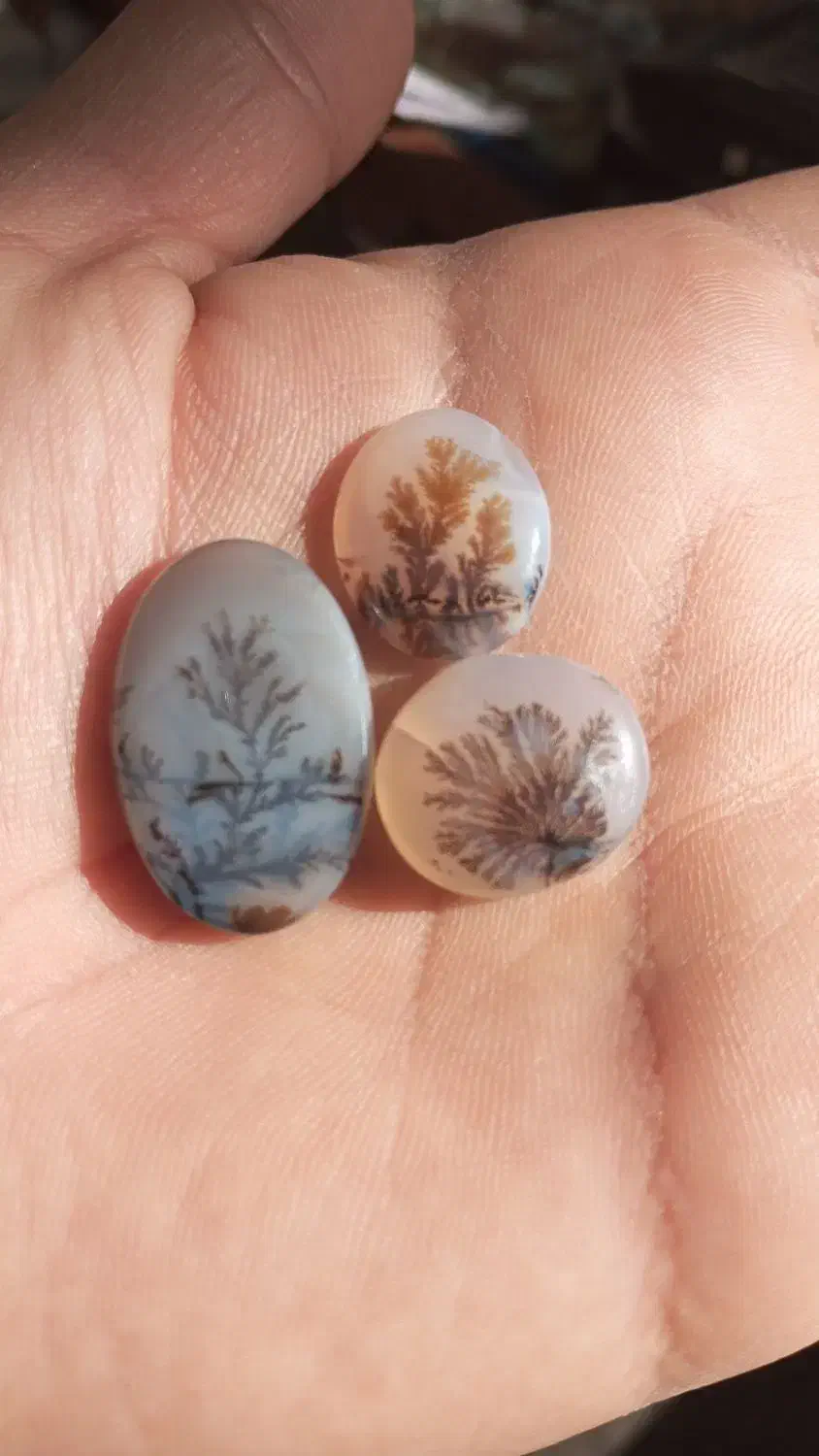 مصور|جواهرات|شیراز, بازار|دیوار