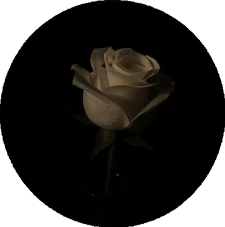 لوازم آرایشی و بهداشتی|آرایشی، بهداشتی، درمانی|دهدشت, |دیوار