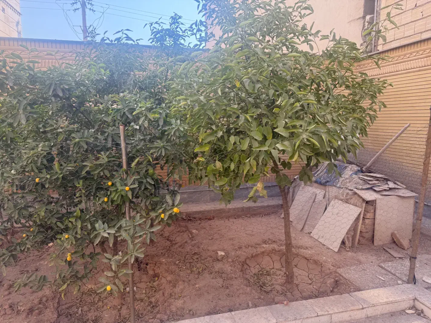 خانه ویلایی|اجارهٔ خانه و ویلا|شیراز, شهرک پرواز|دیوار