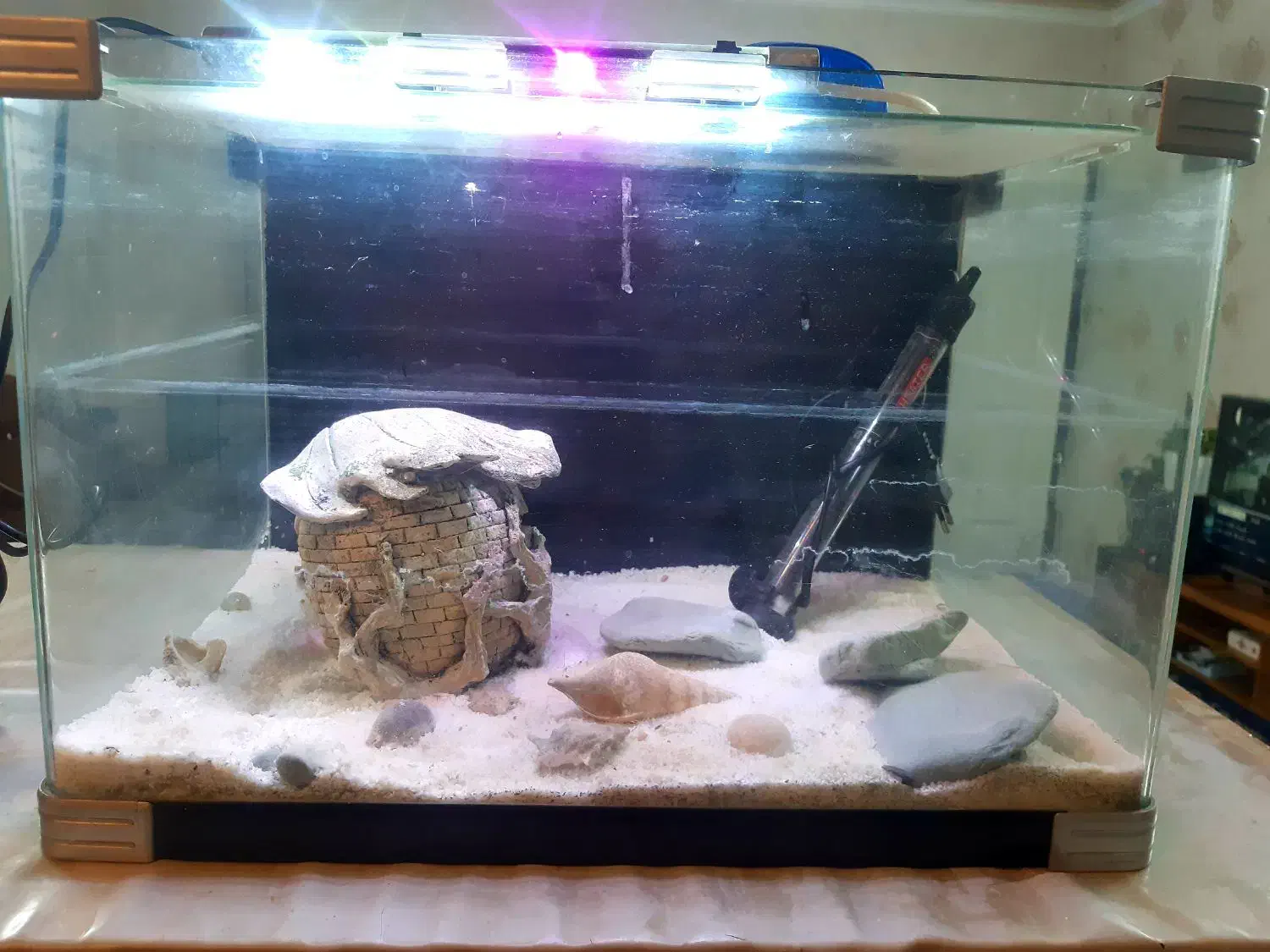 آکواریوم  شرکتی با تمام لوازم|ماهی|تهران, فلاح|دیوار