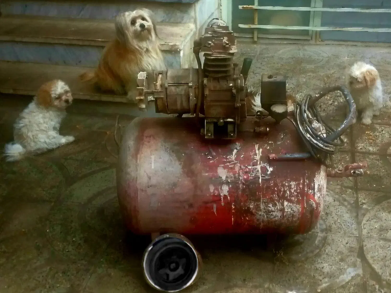 کمپرسورپمپ‌باد|ابزارآلات|آبیک, |دیوار