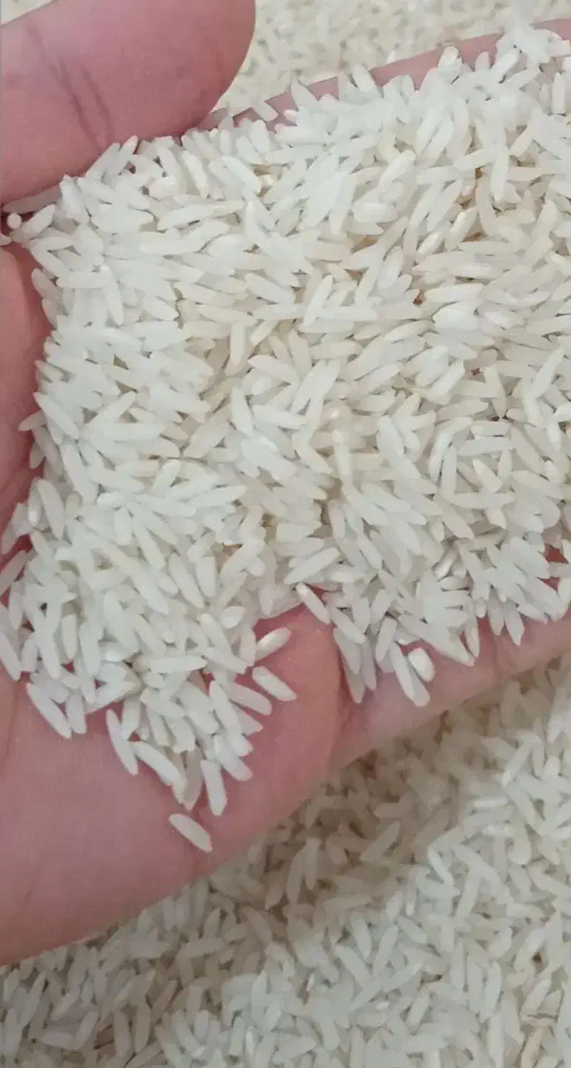 برنج هاشمی درجه1 محصول امسال|خوردنی و آشامیدنی|پاکدشت, شهرک امام رضا|دیوار