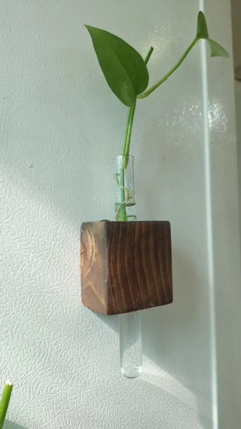 گلدان مگنتی درب یخچال|صنایع دستی و سایر لوازم تزئینی|دزفول, |دیوار