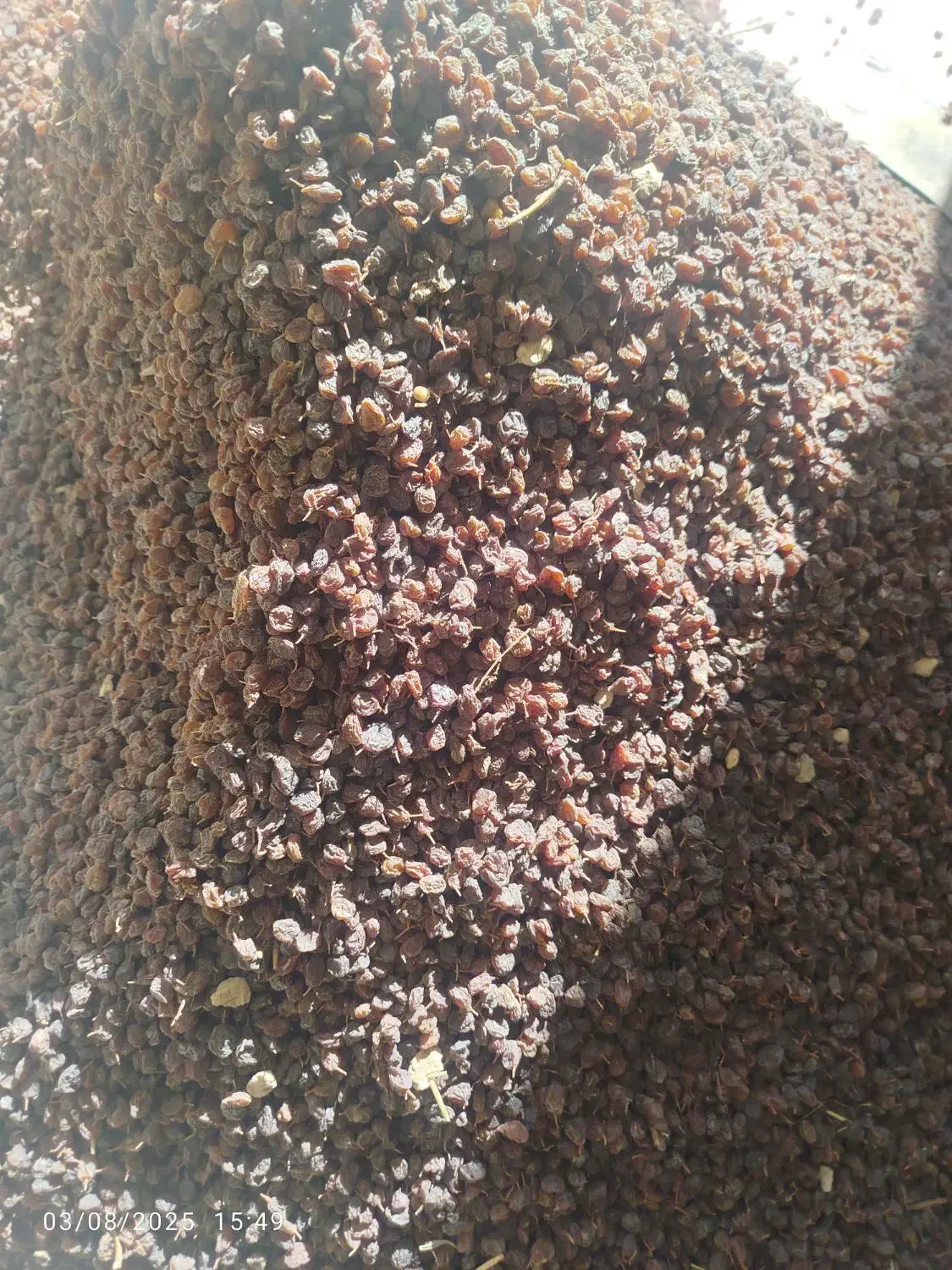 کشمش|خوردنی و آشامیدنی|اراک, |دیوار