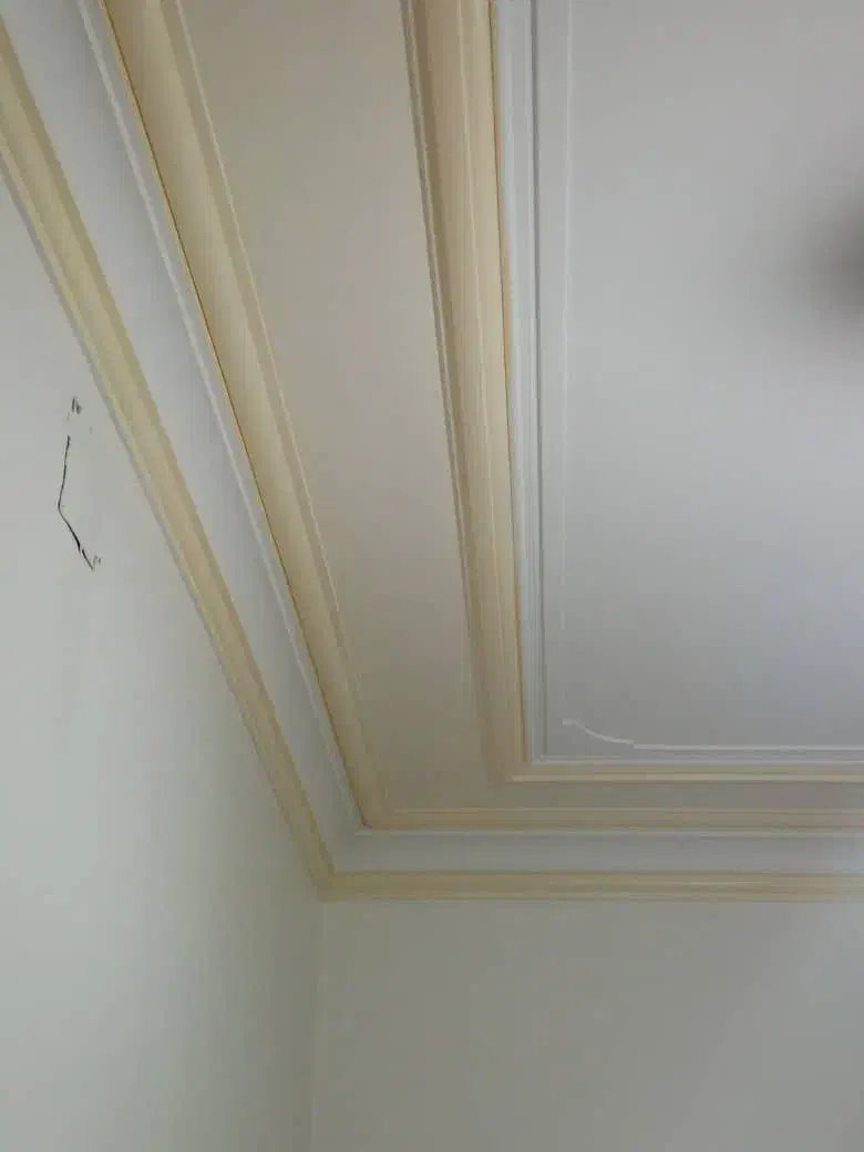 نقاشی ساختمان ونما وفنسکاری باغ|خدمات پیشه و مهارت|شاهین دژ, |دیوار