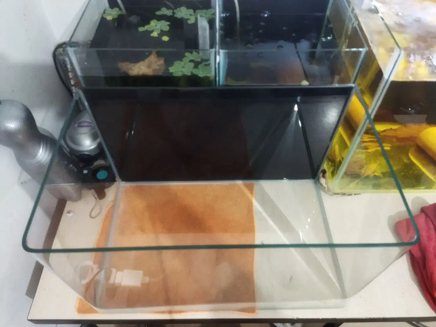 اکواریوم خم دیاموند|ماهی|ارومیه, |دیوار