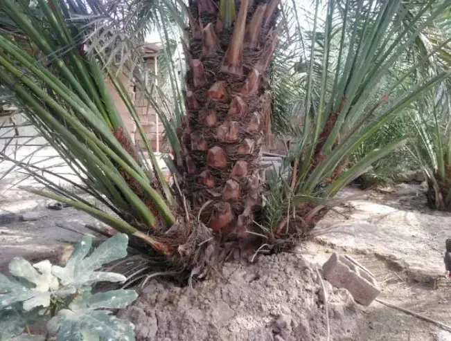 حاجی آباد|موبایل|حاجی آباد, |دیوار