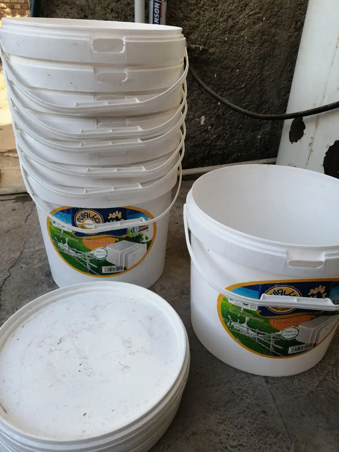 سطل دردارگنبد|ظروف نگهدارنده، پلاستیکی، یک‌بارمصرف|گنبد کاووس, |دیوار