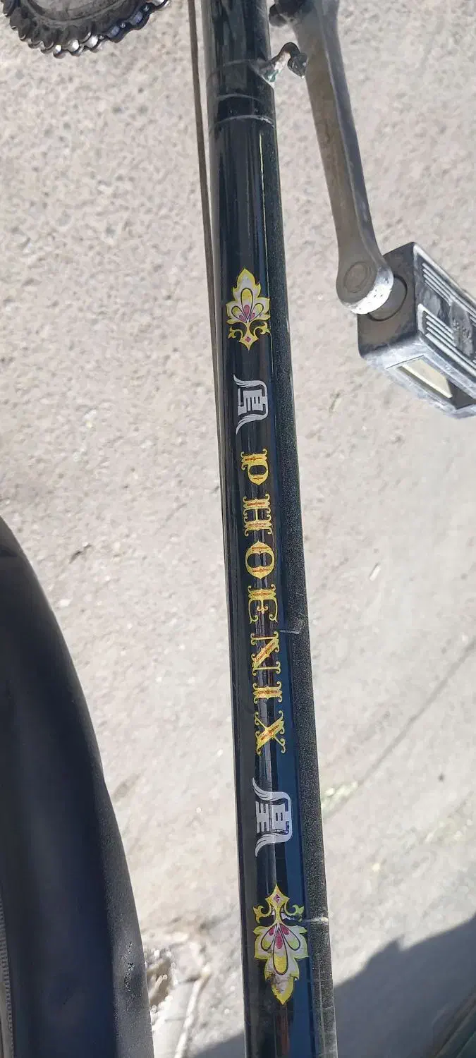 دوچرخه|دوچرخه، اسکیت، اسکوتر|سلماس, |دیوار