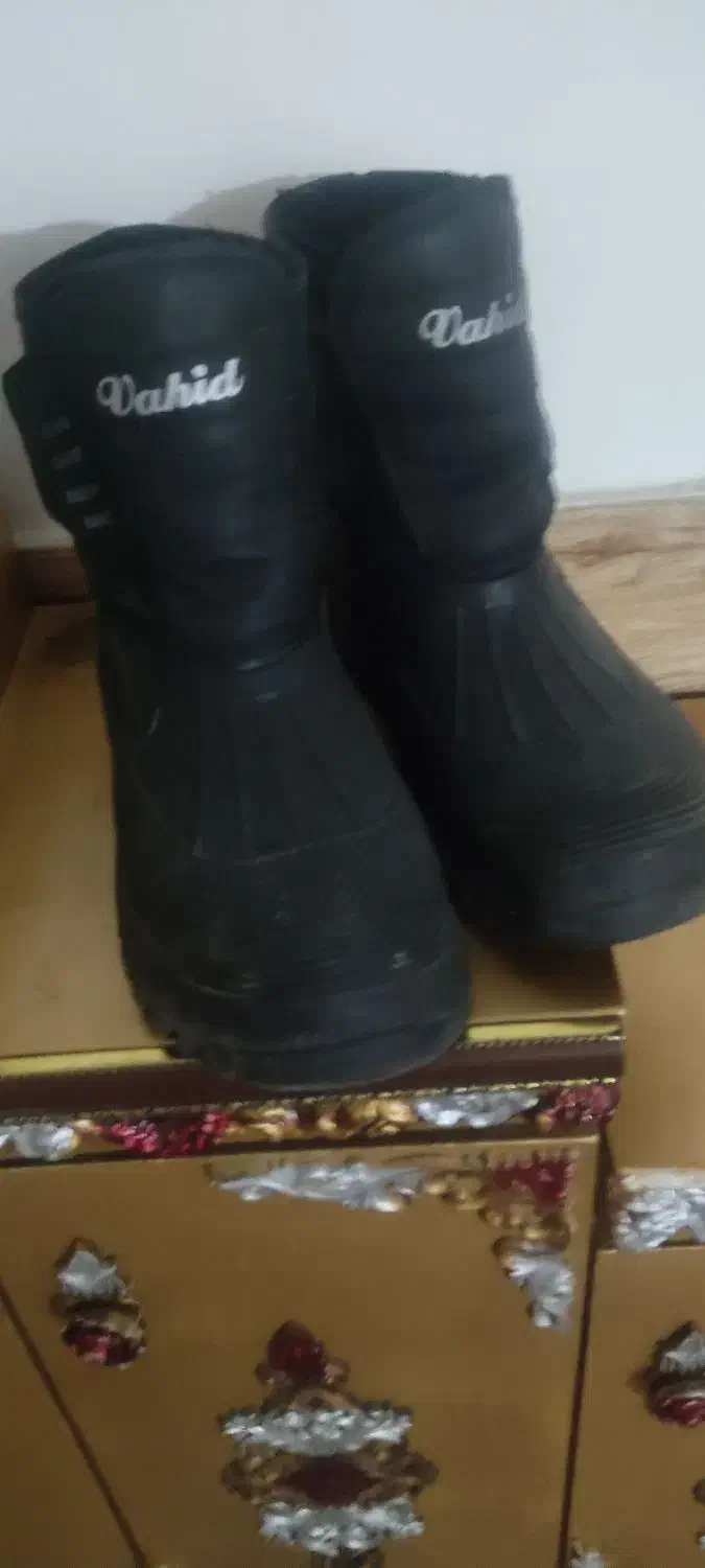 کفش کارداخل خزنو|کیف، کفش، کمربند|گنبد کاووس, |دیوار