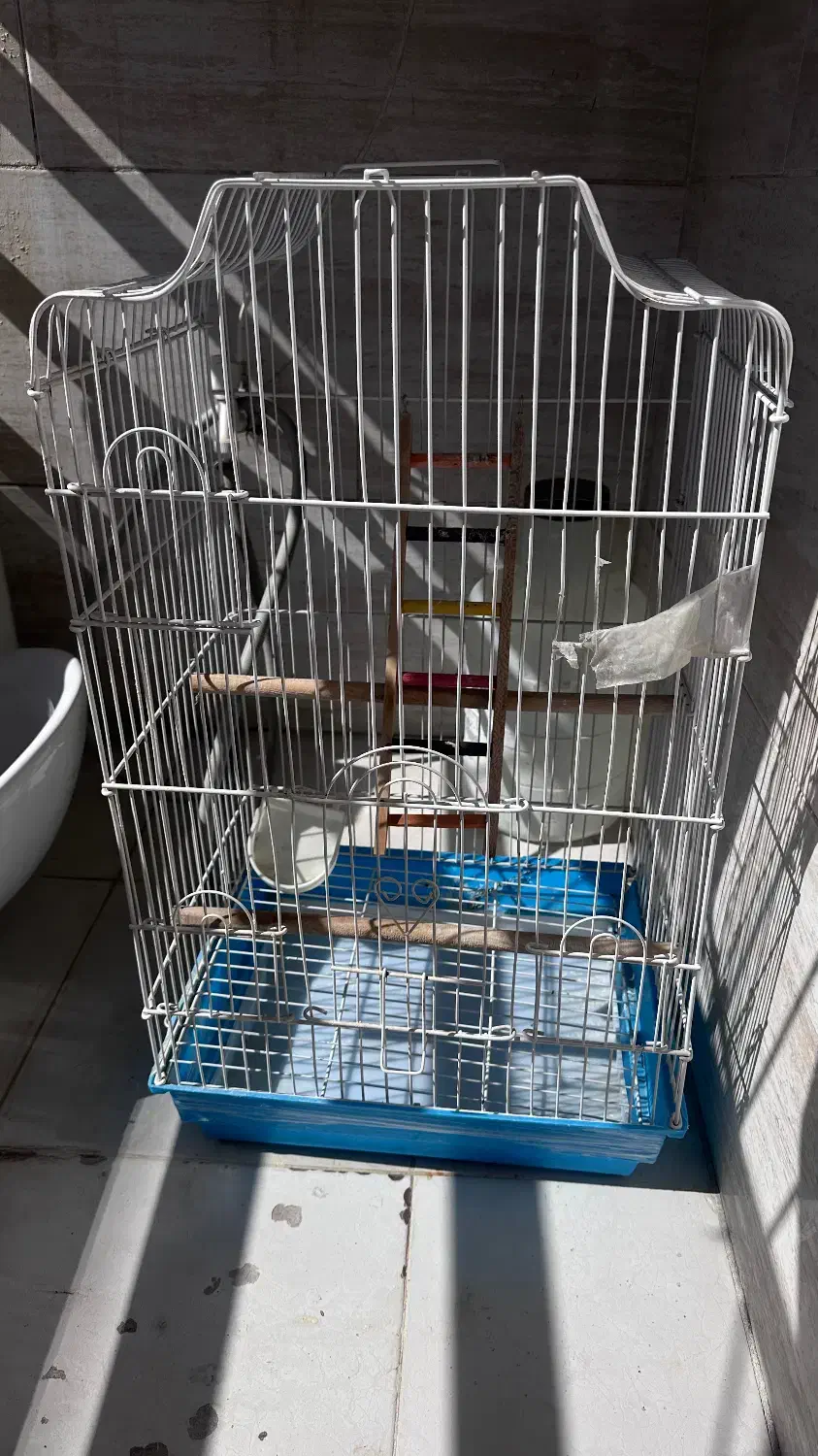 قفس پرنده|لوازم جانبی حیوانات|کرمانشاه, |دیوار